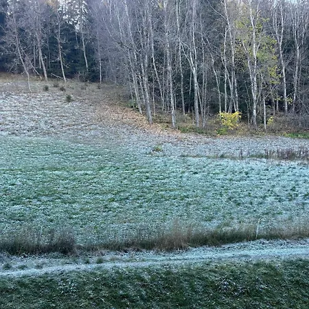 Apartment Les Avrieres - Pour 5 Personnes Mae-8911 La Plagne